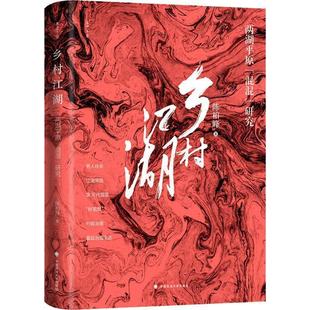 陈柏峰乡村江湖 两湖平原