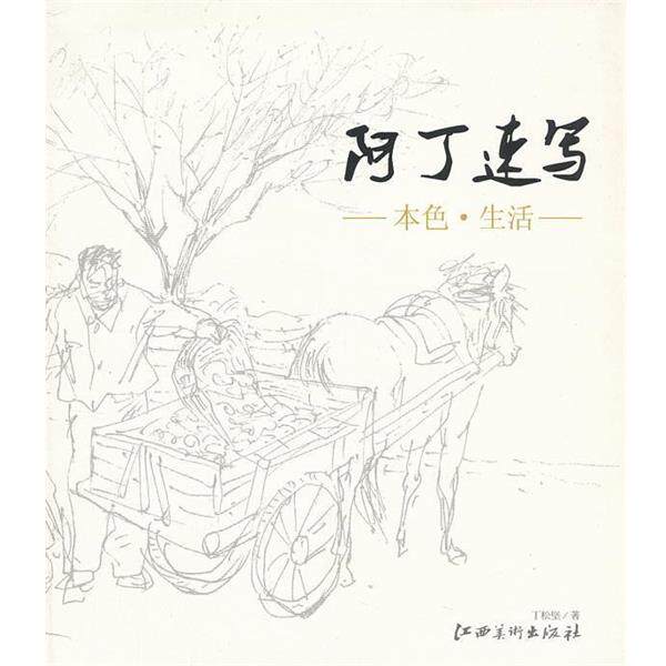 丁松坚　著阿丁速写（正版旧书包邮）江西美术出版社有限责任公司9787807497158