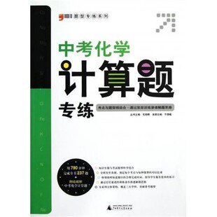 编南宋文化与旅游 正版 旧书 林正秋 北京艺术与科学电子出版 等 包邮 社9787894290861 王信章