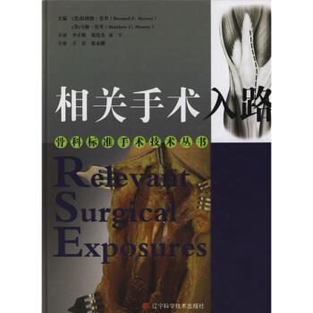 王岩 等 著,[美] 莫里（Morrey B.F.） 编,李正维 等相关手术骨科标准手术技术丛书—相关手术入路（正版旧书包邮）辽宁科学技术出