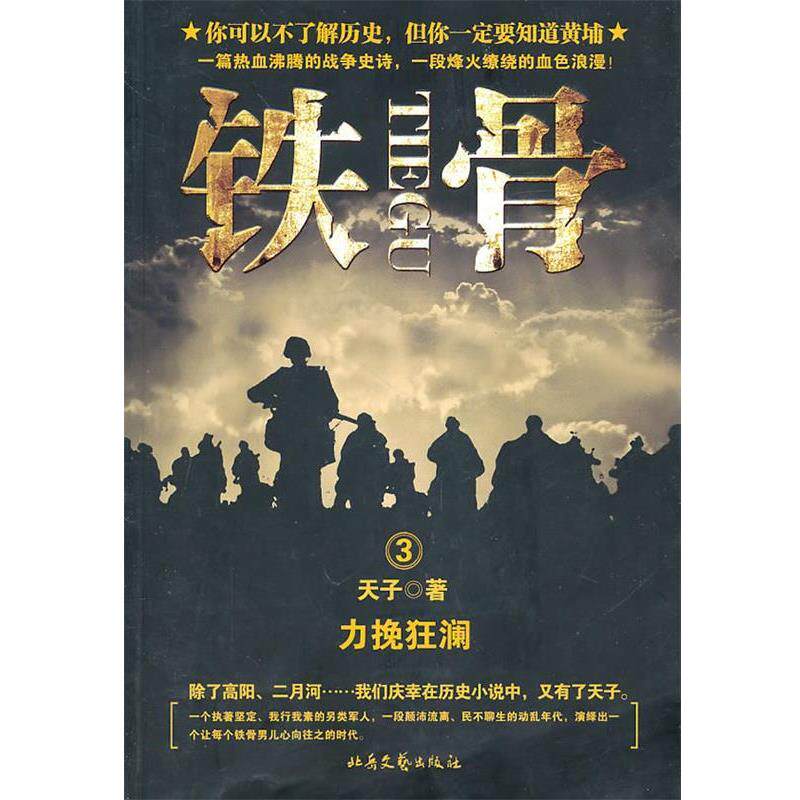 天子 著铁骨 3:力挽狂澜(正版旧书包邮)北岳文艺出版社9787537834179