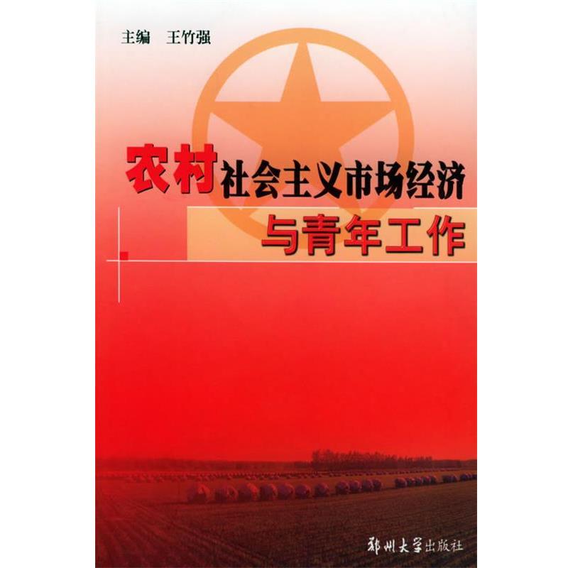 王竹強(qiáng) 主編農(nóng)村社會主義市場經(jīng)濟(jì)與青年工作（正版舊書包郵）鄭州大學(xué)出版社9787811060119