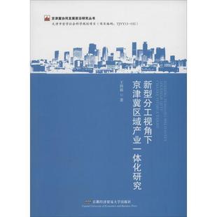 王得新新型分工视角下京津冀区域产业一体化研究（正版旧书包邮）首都经济贸易大学出版社9787563825417