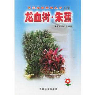 朱根发,胡松华 编著龙血树.朱蕉—百花盆栽图说丛书(正版旧书包邮)中国林业出版社9787503836787
