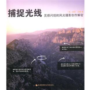 正版 社9787806868539 沃森 浙江摄影出版 包邮 旧书 等译捕捉光线 陈刚 著 英