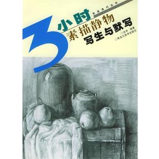 编著素描静物写生与默写 黑龙江美术出版 正版 包邮 社9787531810896 旧书 沈中