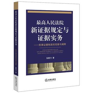 张群力 著最高人民法院新证据规定与证据实务:民事证据制度的完善与阐释(正版旧书包邮)法律出版社9787519747800