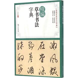 马守国 著精编草书书法字典（正版旧书包邮）江西美术出版社9787548030935