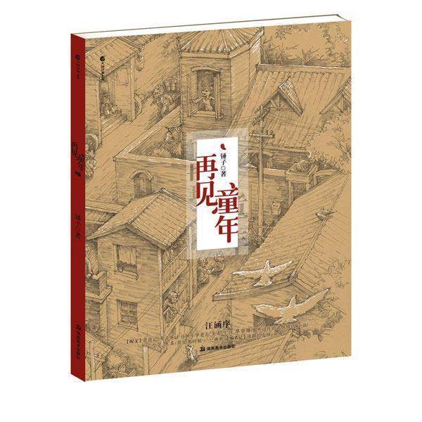 锤子　著再见童年（正版旧书包邮）湖南美术出版社9787535638045,书籍/杂志/报纸,漫画书籍,淘宝优惠券,粉丝福利购,淘宝优惠卷