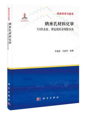 于吉红,闫文付纳米孔材料化学（正版旧书包邮）科学出版社9787030370273