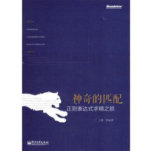 王蕾　等编著神奇的匹配:正则表达式求精之旅（正版旧书包邮）电子工业出版社9787121236563
