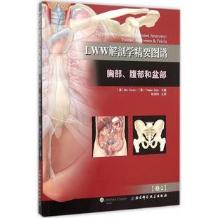 (美) 本·潘斯基 (Ben Pansky),(美) 托马斯·格斯特LWW解剖学精要图谱:胸部、腹部和盆部（正版旧书包邮）北京科学技术出版社