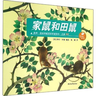 海伦·沃德, 张晖金水桶绘本馆:家鼠和田鼠（正版旧书包邮）浙江文艺出版社9787533935887