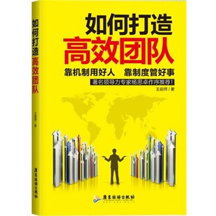 广东旅游出版 王前师如何打造高效团队 包邮 旧书 社9787807667186 正版