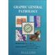 社9787117104623 general 澳伟林 苏敏 旧书 著Craphic 正版 人民卫生出版 pathology 包邮