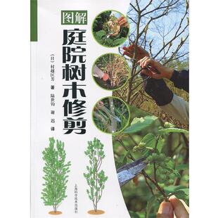 [日] 村越匡芳　著,陆世钧,谢迟 译图解庭院树木修剪（正版旧书包邮）上海科学技术出版社9787547817988