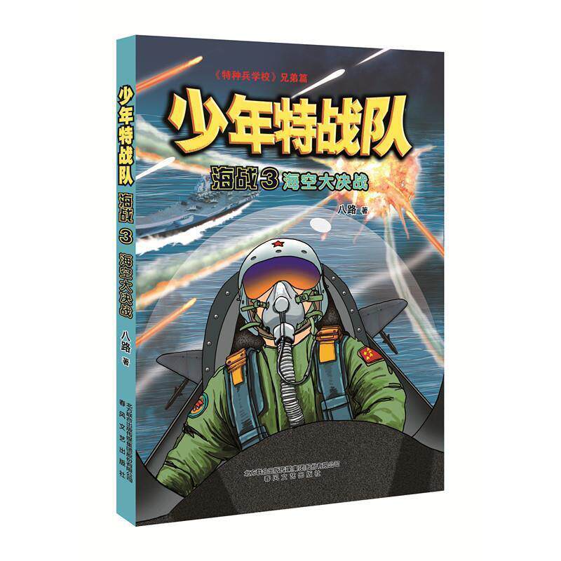 八路少年特战队海战3-海空大决战（正版旧书包邮）春风文艺出版社9787531350446