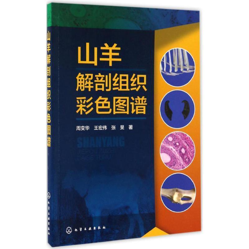 周变华,王宏伟,张旻 著山羊解剖组织彩色图谱（正版旧书包邮）化学工业出版社9787122285881