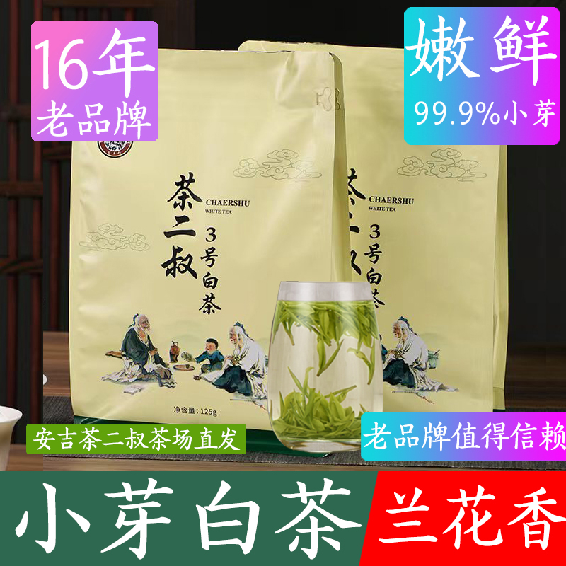 现货安吉白茶2025年新茶
