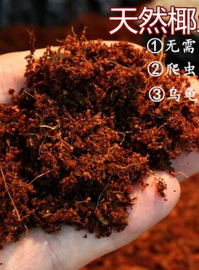 无菌椰土垫材乌龟冬眠蜘蛛蝎子爬虫角蛙蜗牛保湿苔藓免泡直接用