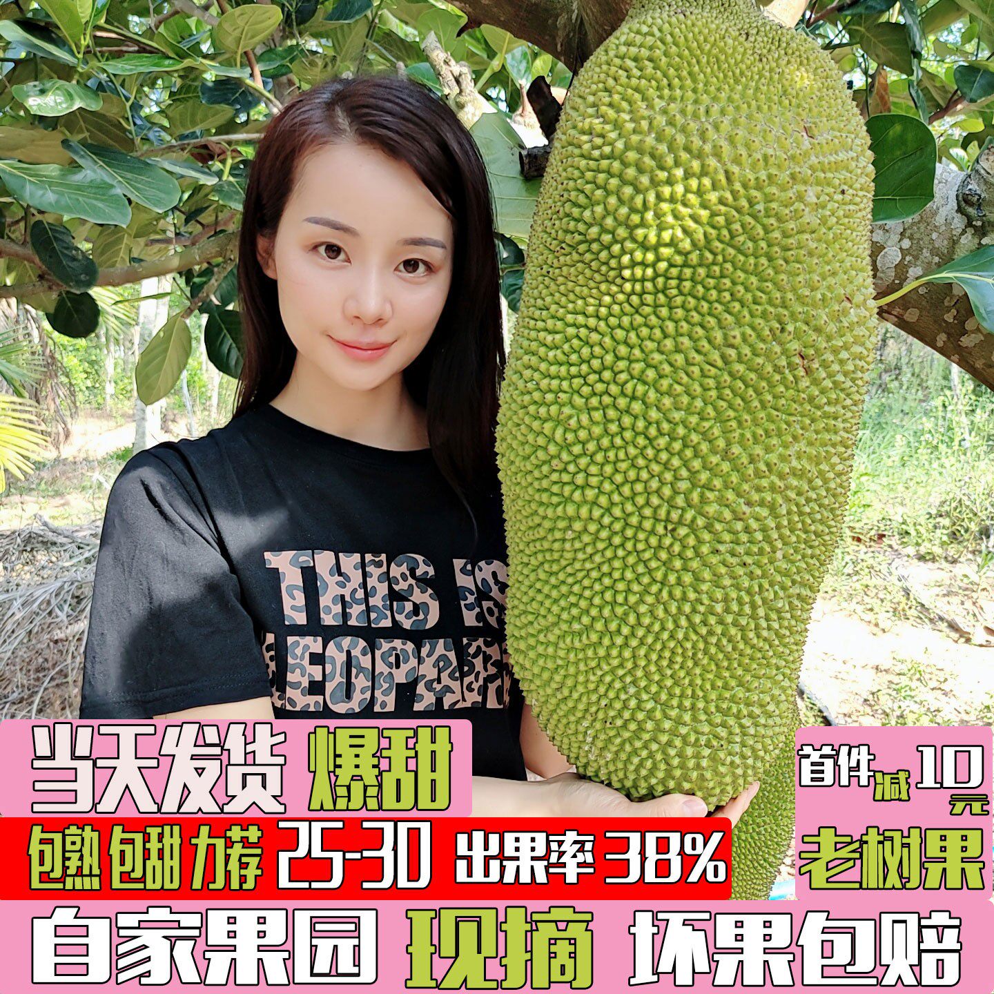 海南菠萝蜜老树现摘新鲜水果当季一级黄肉干苞一整个10-40斤包邮