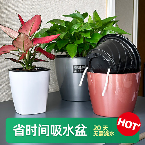 网红高端精致吸水花盆