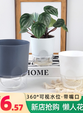 懒人花盆自动吸水绿萝富贵竹专用家用套盆免浇水塑料透明水培