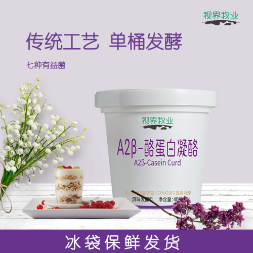 视界牧业凝酪酸奶400g风味发酵乳