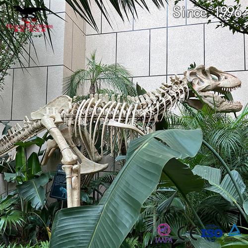 霸王龙仿真骨架模型玻璃钢蛋壳考古研学自贡恐龙大型工厂生产