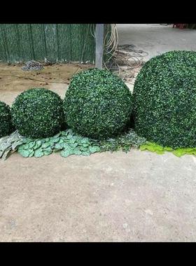 厂家供应绿色仿真树米兰草系列造型盆栽方块米兰草篱笆定做