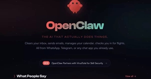 龙虾 openclaw安装部署服务