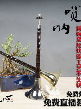 八音唢呐乐器全套唢呐初学者民间喇叭乌木降E调+8大黄碗