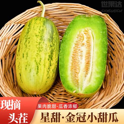 山东潍坊当季现摘金冠脆甜甜瓜