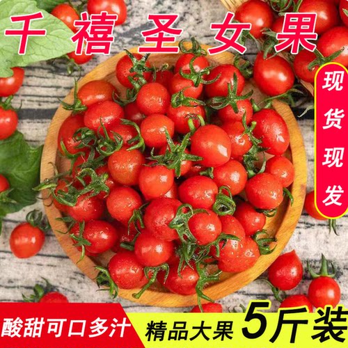 顺丰5斤泡沫箱装山东千禧圣女果小番茄新鲜西红柿新鲜水果圣女果