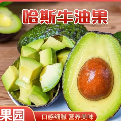 哈斯牛油果8个国产大鳄梨