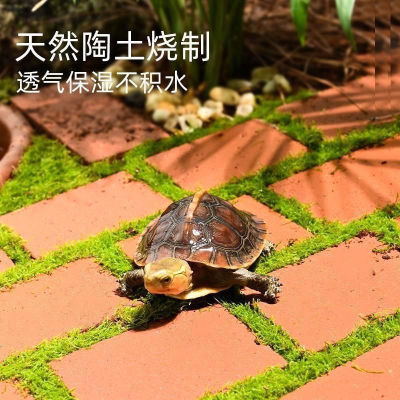 黄缘专用造景红砖乌龟垫材半水龟材料龟箱陆龟安缘装饰陶土小砖