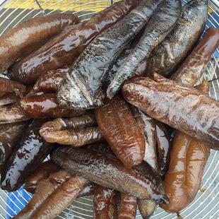 参50g 邮袋3-4根X05袋 整件顺丰包茄参海茄参大乌泡发水发LWQ海参