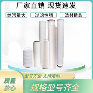 大通量滤芯派克单圈双圈保安过滤器3M颇尔大流量折叠滤芯