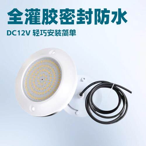 外贸LED全灌胶防水密封泳池灯明装壁挂式带遥控12/24V25Wled灯