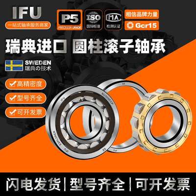 IFU圆柱滚子轴承NJ2304 NU2304 NUP2304 N2304 RN2304 ECM ECP EM