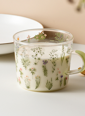 井柚小清新玻璃杯女生高颜值水杯牛奶杯早餐杯办公室茶杯马克杯子