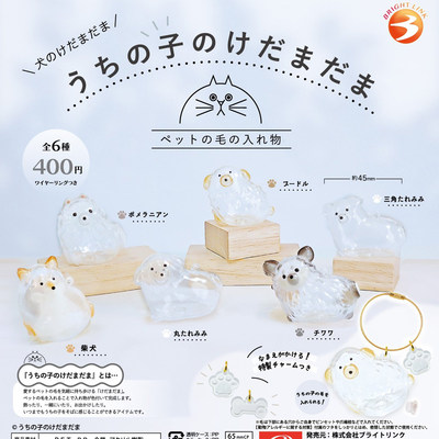 现货日本BRIGHT LINK我家毛孩子 透明狗毛收纳挂件扭蛋 博美