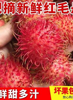 正宗红毛丹水果新鲜毛荔枝现摘新鲜当季热带水果现货速发整箱包邮