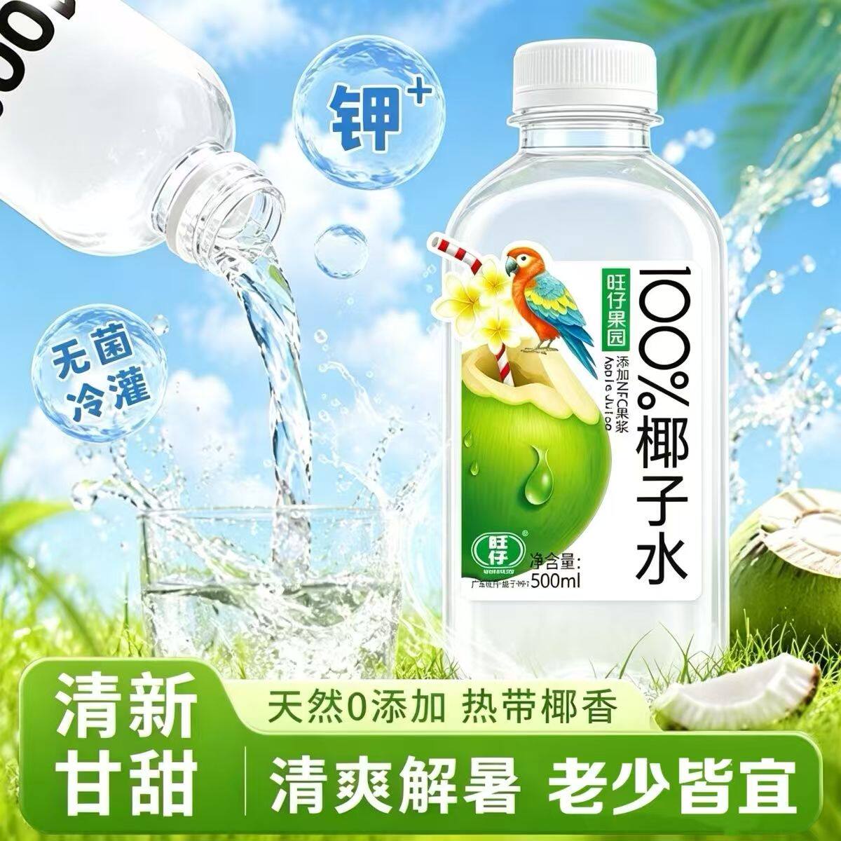 新款100%椰子水果汁配料干净的冷灌果汁500ml瓶装夏季饮料一整箱