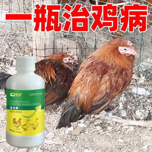 温立康养鸡专用药鸡病感咳冒嗽流泪呼吸道拉希拉白拉绿不站瞌睡
