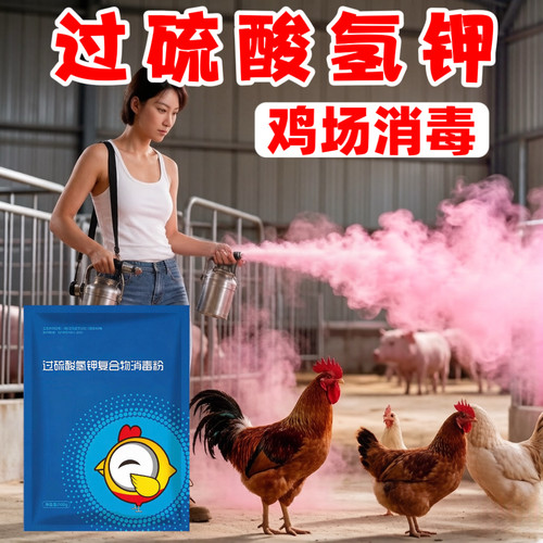 过硫酸氢钾消毒鸡圈鸡舍养鸡场养殖场消毒专用带鸡消毒