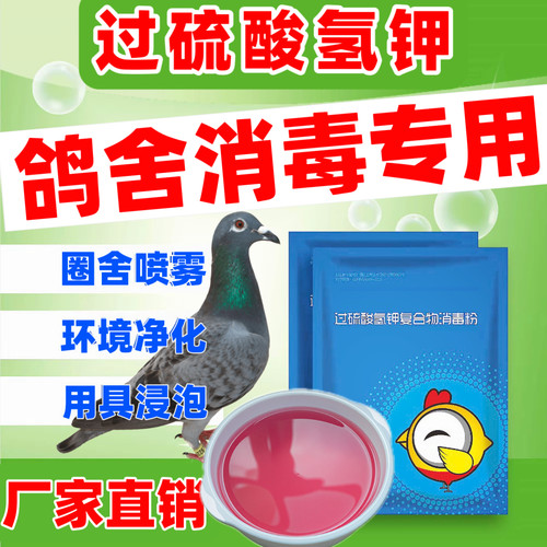 鸽舍消毒过硫酸氢钾鸽舍养鸽消毒养殖场消毒专用带鸽消毒