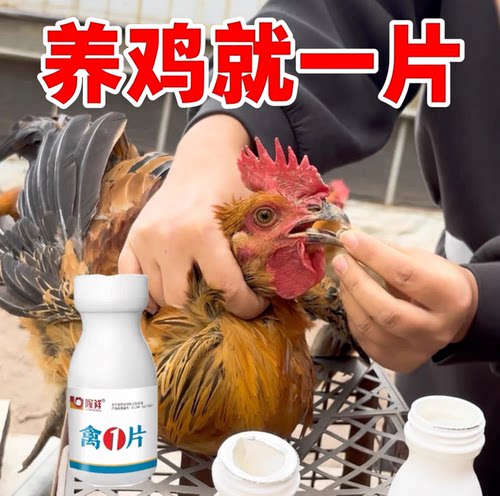 禽来一片养鸡专用救急用各种复杂情况使适用金银花甘草多种中草