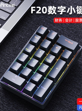 锐蚁F20数字机械小键盘有线20键笔记本电脑外接迷你便携财务办公
