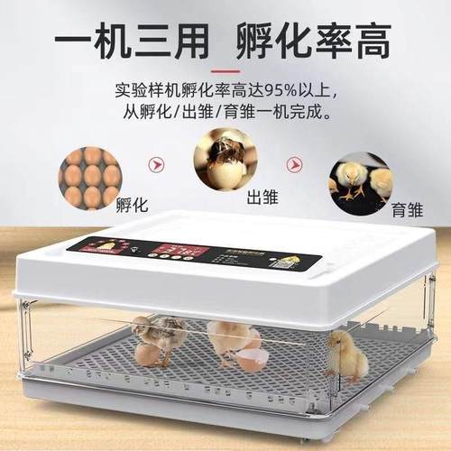 。卢丁鸡孵化机器水床芦丁鸡小型家用全自动智能受精可孵化蛋孵化-封面
